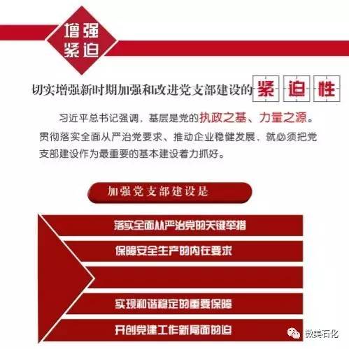 2025最准最精准免费资料看构建解答、专家解读解释与落实与警惕虚假宣传-全面释义、专家解读解释与落实
