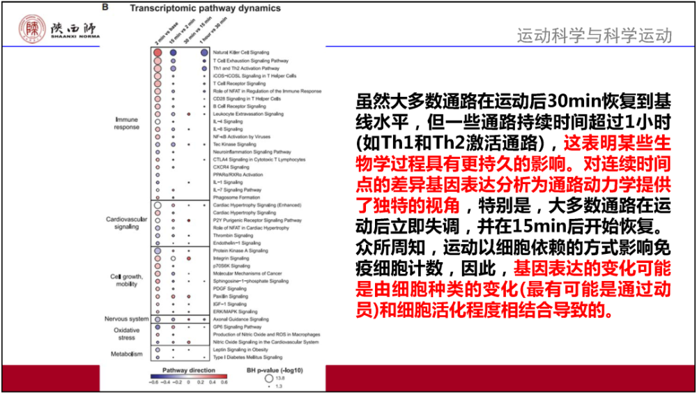 2025年澳门和香港正版免费全年资料大全旅游景点,全面释义与解答落实